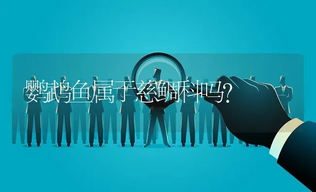 刚刚出生的小仓鼠怎么养？ | 动物养殖问答