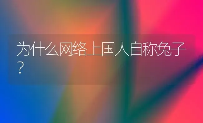 为什么网络上国人自称兔子？ | 动物养殖问答