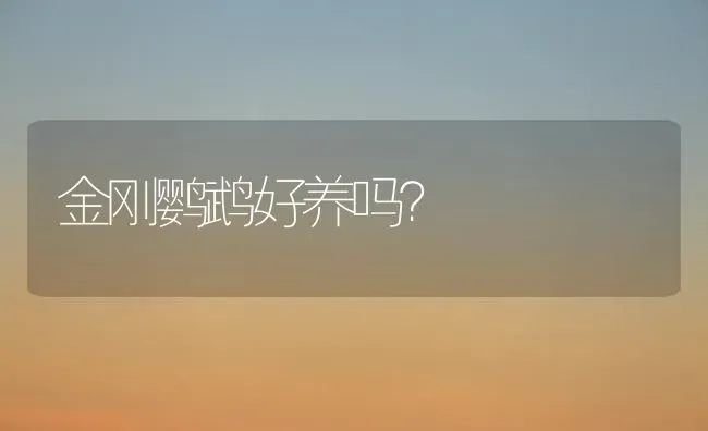 金刚鹦鹉好养吗？ | 动物养殖问答