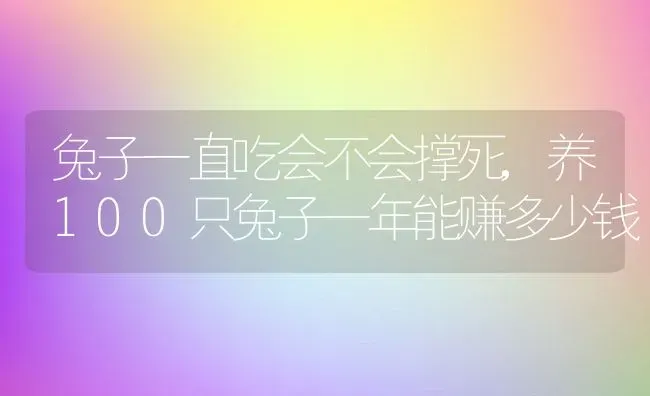 兔子一直吃会不会撑死,养100只兔子一年能赚多少钱 | 宠物百科知识