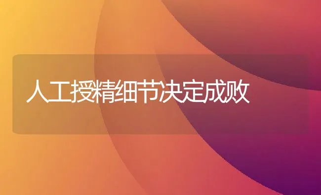 人工授精细节决定成败 | 动物养殖学堂