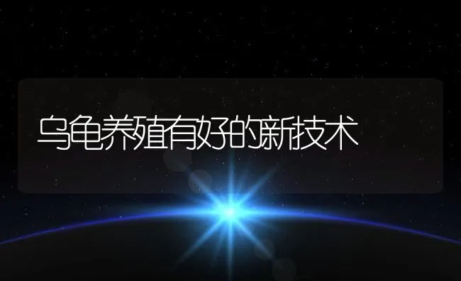 乌龟养殖有好的新技术 | 水产养殖知识