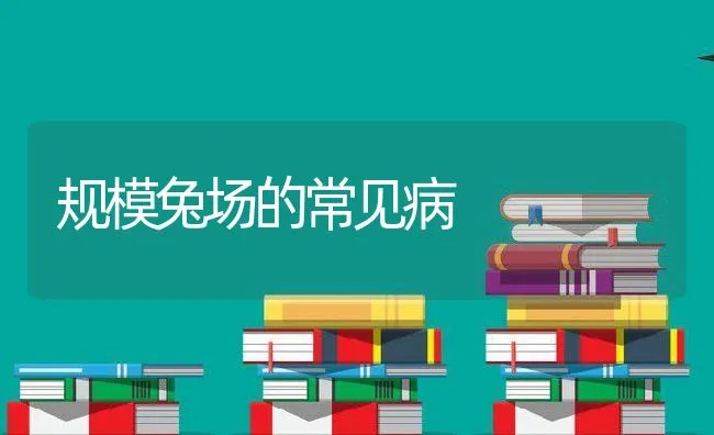 规模兔场的常见病 | 动物养殖学堂