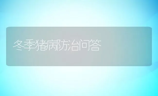 冬季猪病防治问答 | 动物养殖学堂