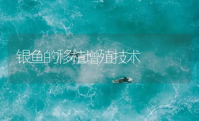 银鱼的移植增殖技术 | 海水养殖技术