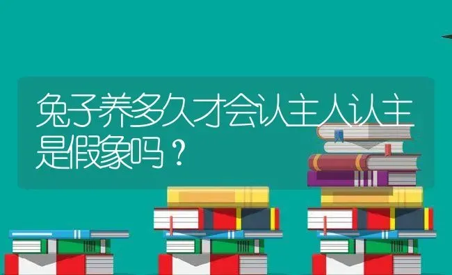 兔子养多久才会认主人认主是假象吗？ | 动物养殖百科