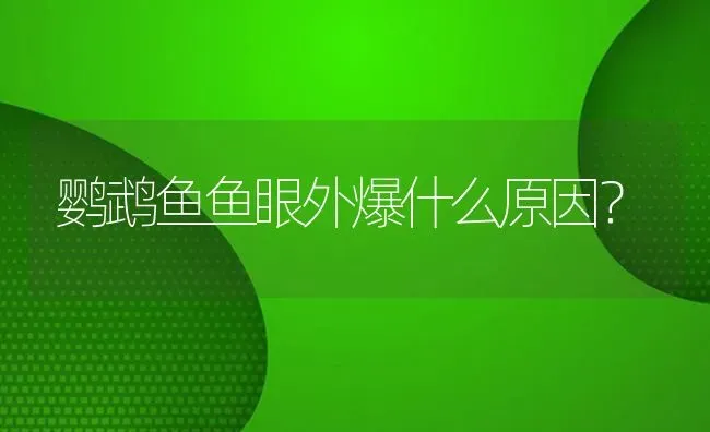 七彩神仙鱼白蝴蝶喂什么饲料？ | 鱼类宠物饲养