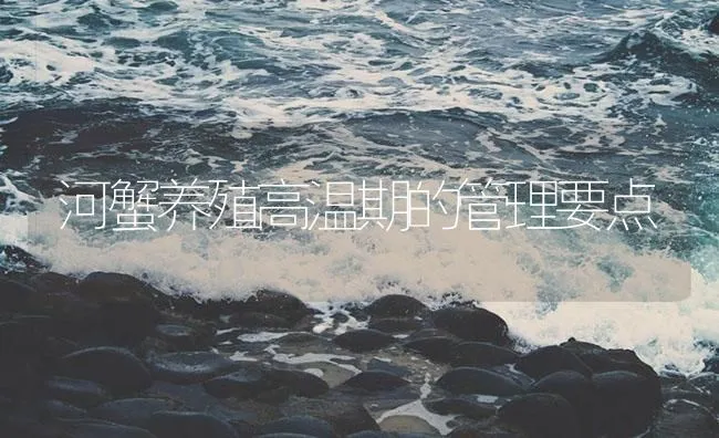 河蟹养殖高温期的管理要点 | 海水养殖技术