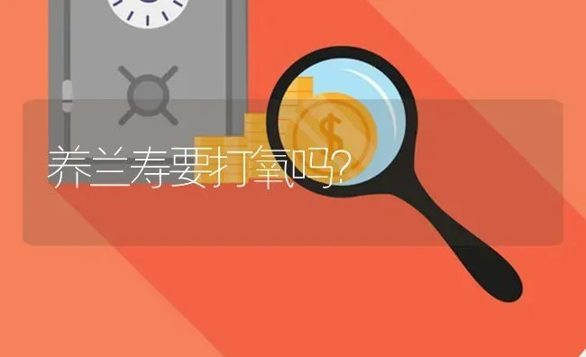 养兰寿要打氧吗？ | 鱼类宠物饲养