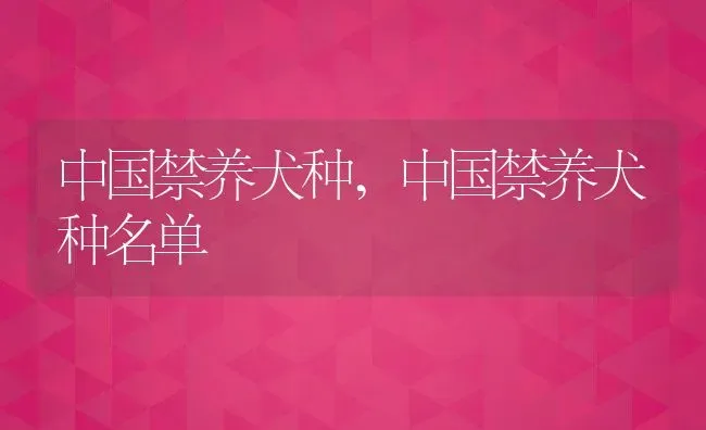 中国禁养犬种,中国禁养犬种名单 | 宠物百科知识