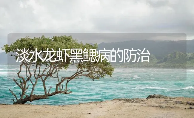 淡水龙虾黑鳃病的防治 | 海水养殖技术