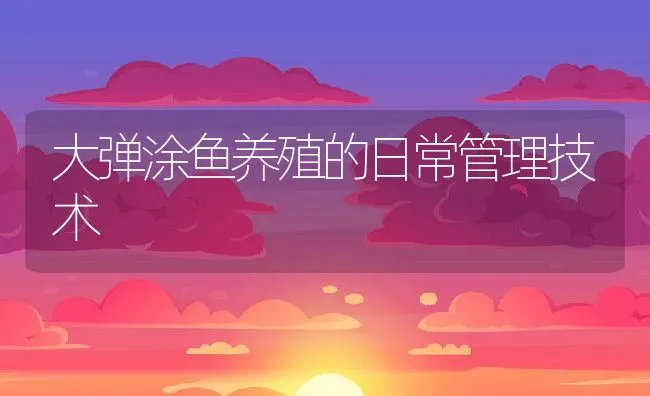 大弹涂鱼养殖的日常管理技术 | 动物养殖学堂