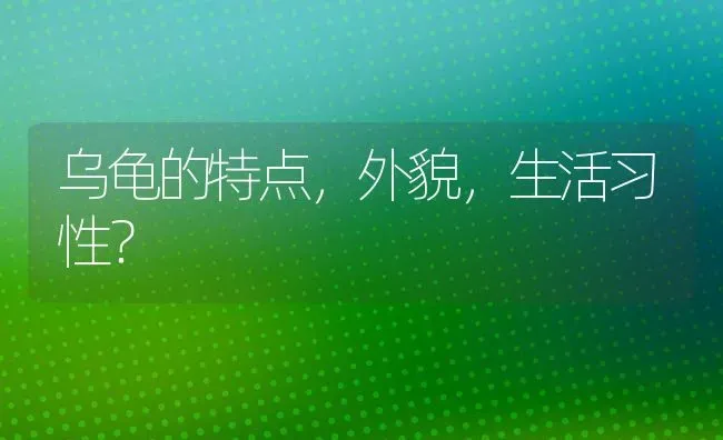 乌龟的特点，外貌，生活习性？ | 动物养殖问答