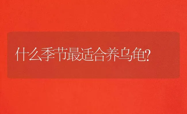 早上出门遇见一只猫猫，一直跟着我还对我叫，我走它也走，我停它也停，我坐着它也蹦到我旁边，在我身边溜？ | 动物养殖问答