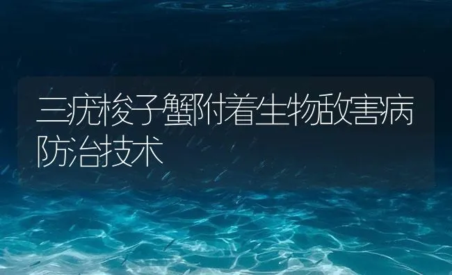 三疣梭子蟹附着生物敌害病防治技术 | 海水养殖技术