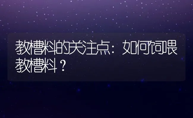 教槽料的关注点：如何饲喂教槽料？ | 动物养殖饲料