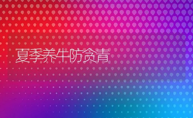 兔打喷嚏怎么治 | 动物养殖学堂