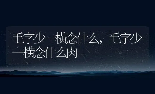 毛字少一横念什么,毛字少一横念什么肉 | 宠物百科知识