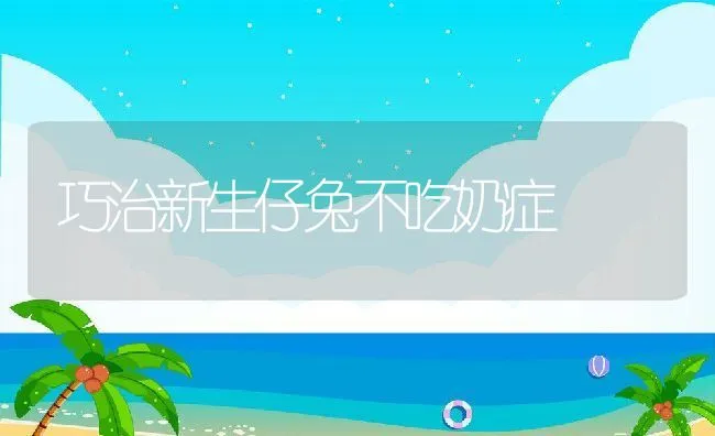 巧治新生仔兔不吃奶症 | 水产养殖知识