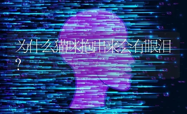 为什么猫咪抱出来会有眼泪？ | 动物养殖问答