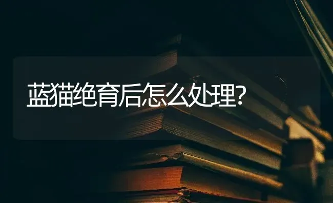 蓝猫绝育后怎么处理？ | 动物养殖问答