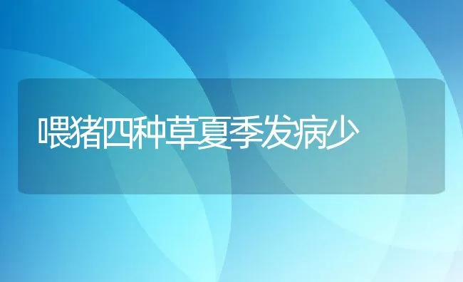 鹤望兰的繁殖技术 | 动物养殖饲料