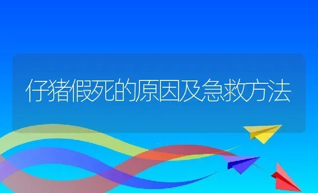 仔猪假死的原因及急救方法 | 动物养殖百科