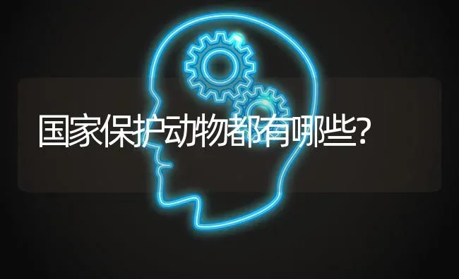 狗狗什么时候发腮？ | 动物养殖问答