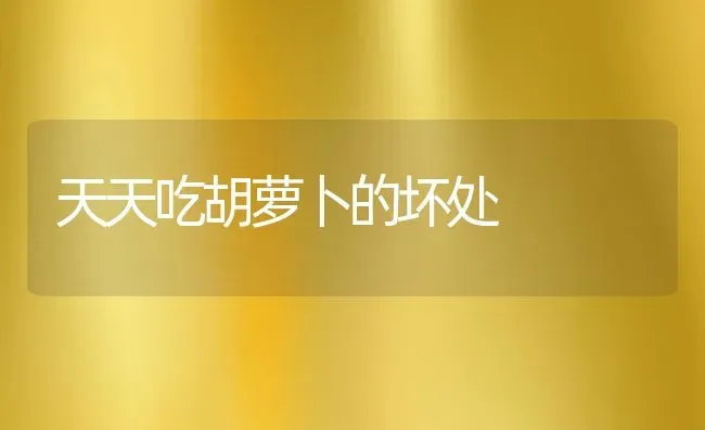 仓鼠不喝水怎么办,仓鼠不喝水怎么办但会吃东西 | 宠物百科知识