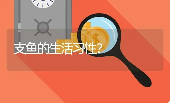 支鱼的生活习性？ | 鱼类宠物饲养