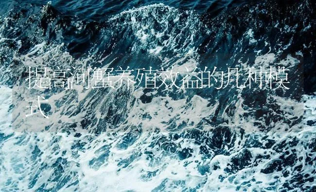 提高河蟹养殖效益的几种模式 | 海水养殖技术