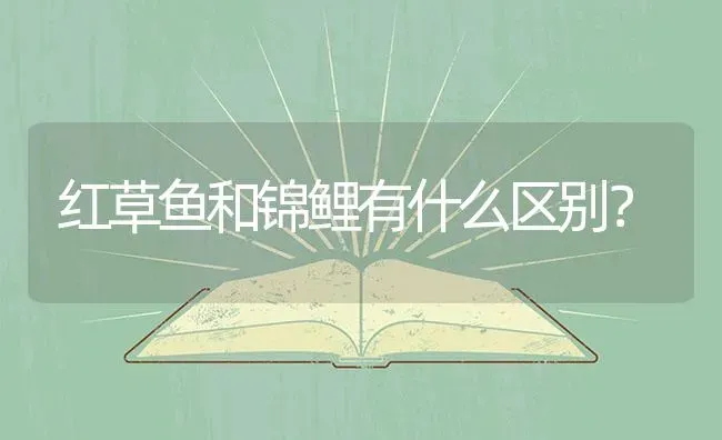 一斤的鱼饲料够银龙鱼吃多少天的？ | 鱼类宠物饲养