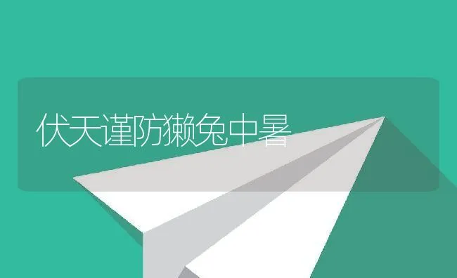 伏天谨防獭兔中暑 | 动物养殖学堂