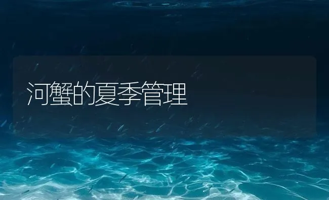 河蟹的夏季管理 | 海水养殖技术