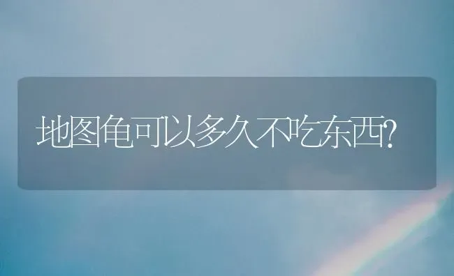 地图龟可以多久不吃东西？ | 动物养殖问答