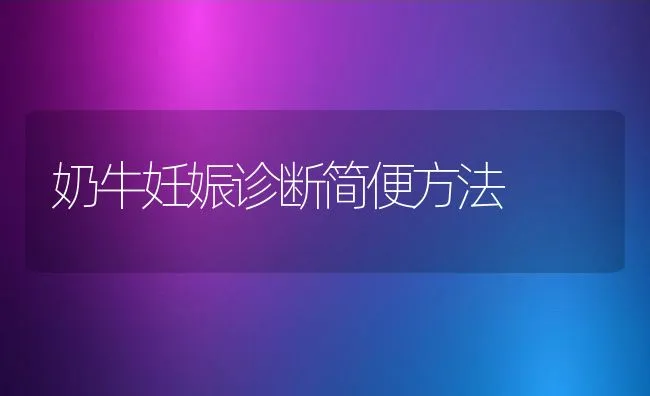 高密度养殖罗非鱼应注意的问题 | 海水养殖技术