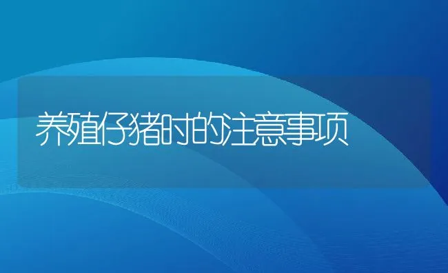 养殖仔猪时的注意事项 | 动物养殖学堂