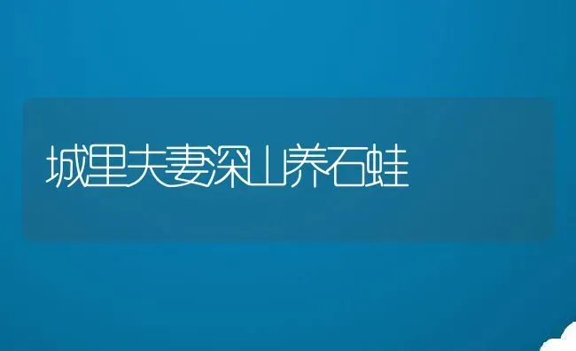 城里夫妻深山养石蛙 | 动物养殖教程