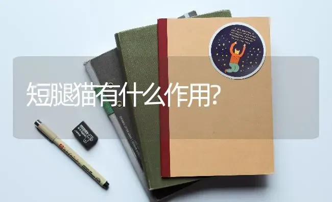 2岁狗如何训练大小便？ | 动物养殖问答