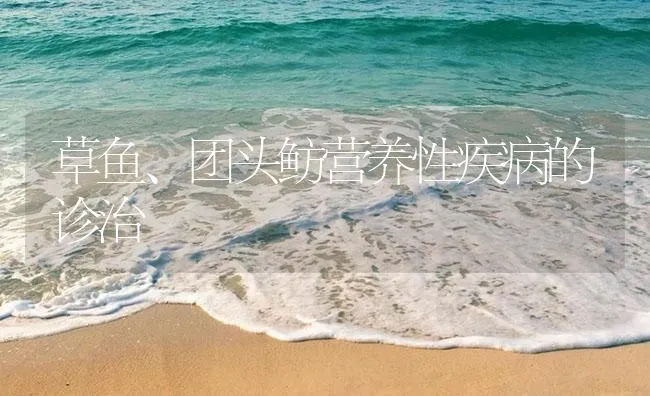 草鱼、团头鲂营养性疾病的诊治 | 海水养殖技术