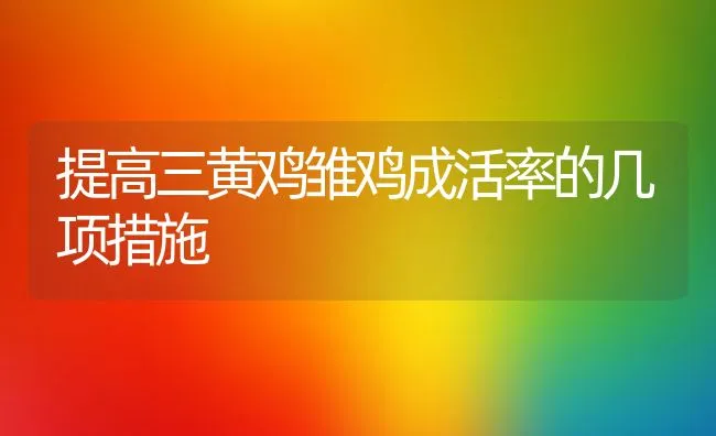 提高三黄鸡雏鸡成活率的几项措施 | 动物养殖学堂