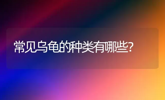 常见乌龟的种类有哪些？ | 动物养殖问答