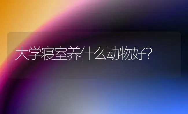 大学寝室养什么动物好？ | 动物养殖问答