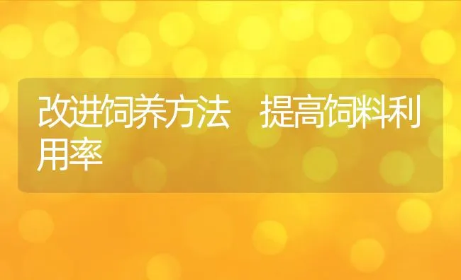 改进饲养方法 提高饲料利用率 | 动物养殖饲料
