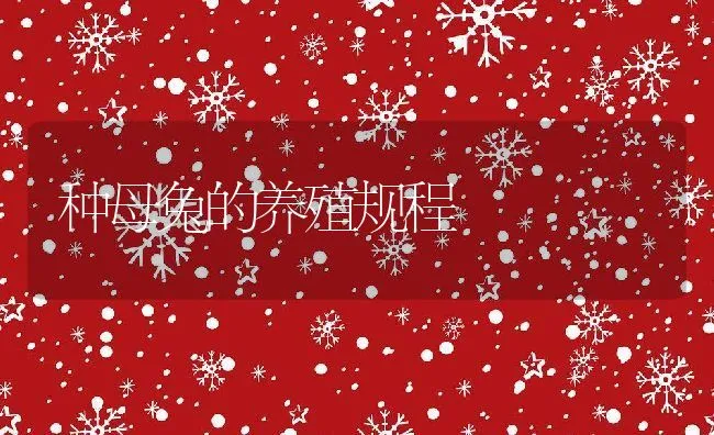 种母兔的养殖规程 | 水产养殖知识