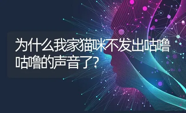 为什么我家猫咪不发出咕噜咕噜的声音了？ | 动物养殖问答