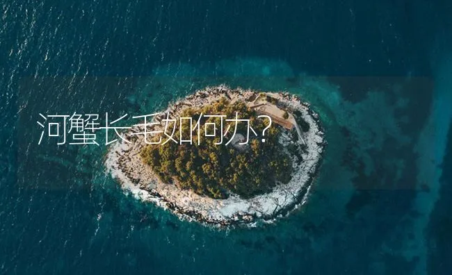 河蟹长毛如何办？ | 海水养殖技术