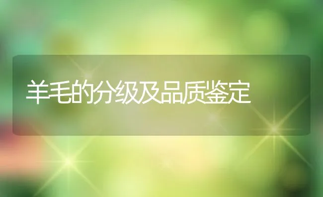 羊毛的分级及品质鉴定 | 动物养殖学堂