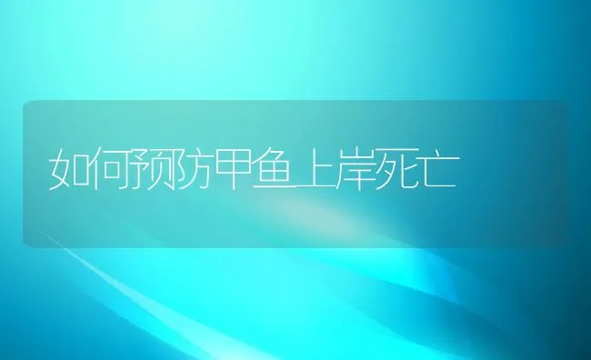 如何预防甲鱼上岸死亡 | 水产养殖知识