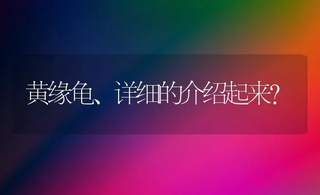 黄缘龟、详细的介绍起来？ | 动物养殖问答